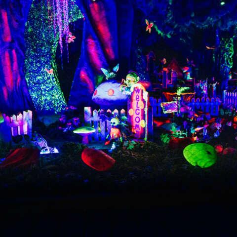 Enchanted Forest Log Flume