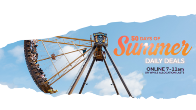 50 Days Summer Pirate Ship Tear Photo Web Banner