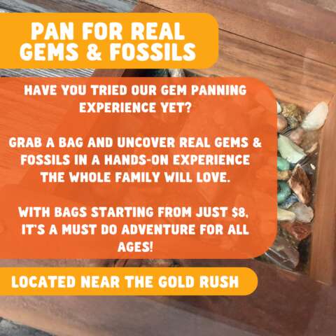 Gem Panning